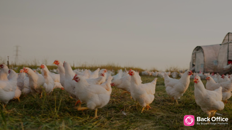 Commodity updates exclusively for Back Office users, powered by CommodityONE