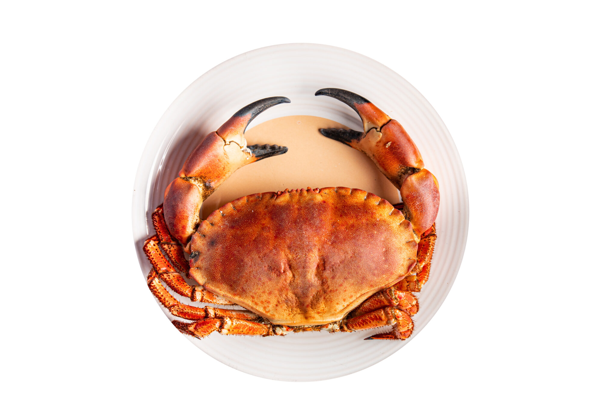 Seafood commodity update exclusively for Back Office users, powered by CommodityONE