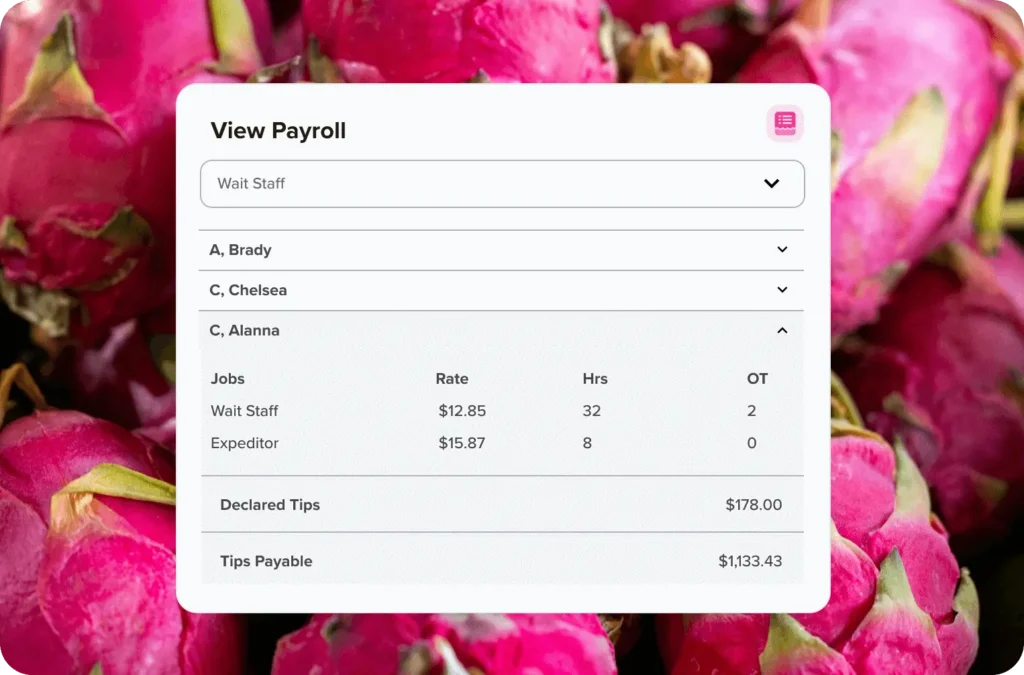 View Payroll Report