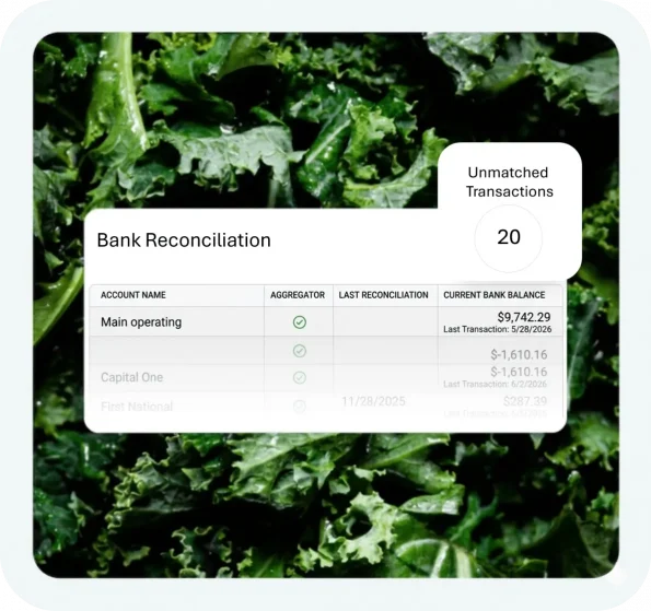 Bank Reconciliation-compressed