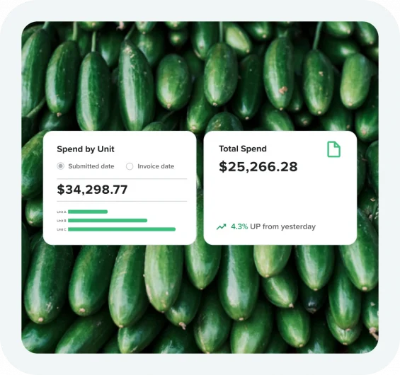 Screen shots of AP spend by unit and total spend